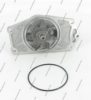 NPS M151I31 Water Pump